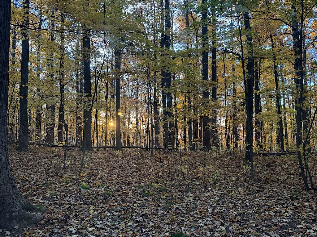 Sunrise at Whispering Gap