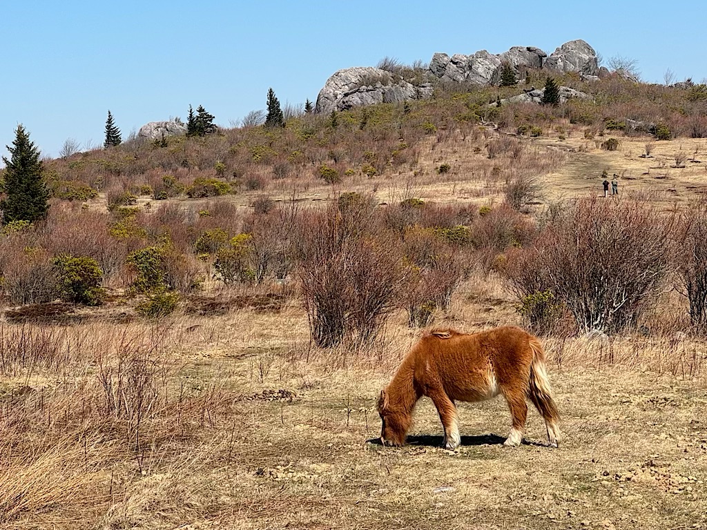 Grayson Highlands