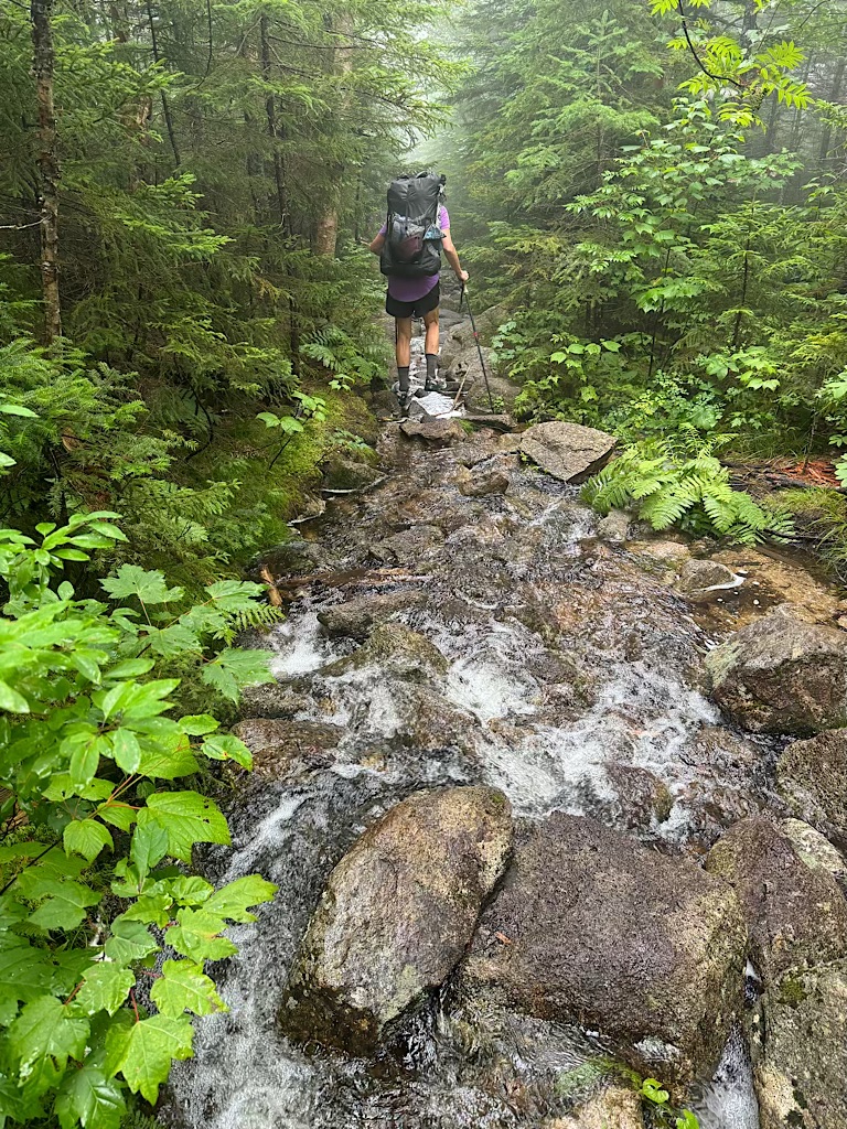 The trail is a bit wet!